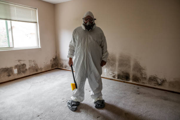 Best Office Mold Removal Services  in Coats, NC