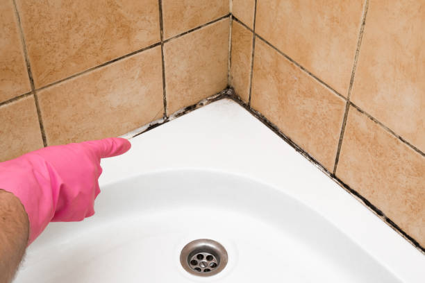 Best Professional Mold Removal  in Coats, NC